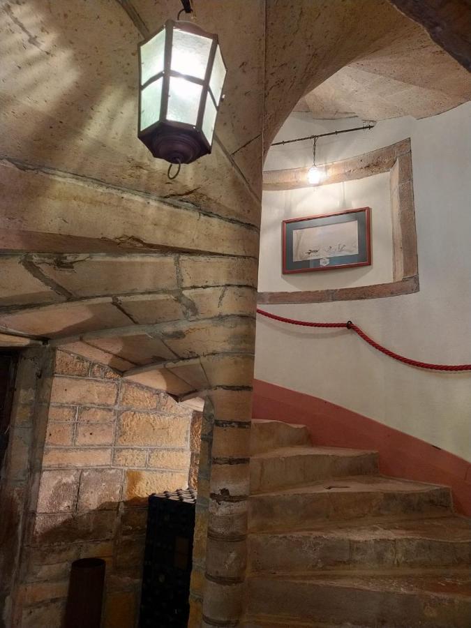 Chateau De La Venerie Denicé
